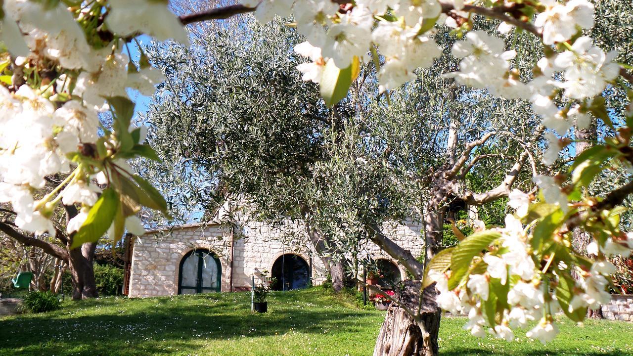 시롤로 Campo Del Mare B&B 외부 사진