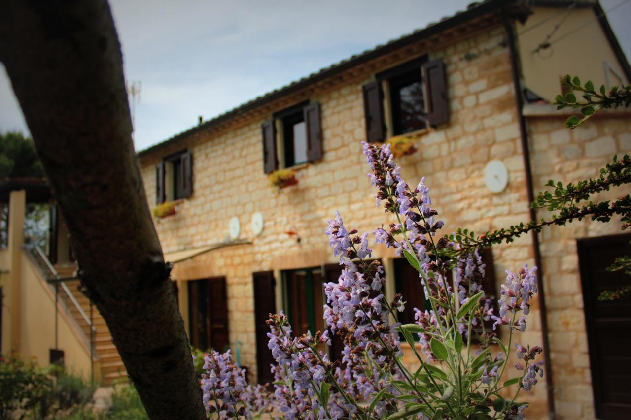 시롤로 Campo Del Mare B&B 외부 사진