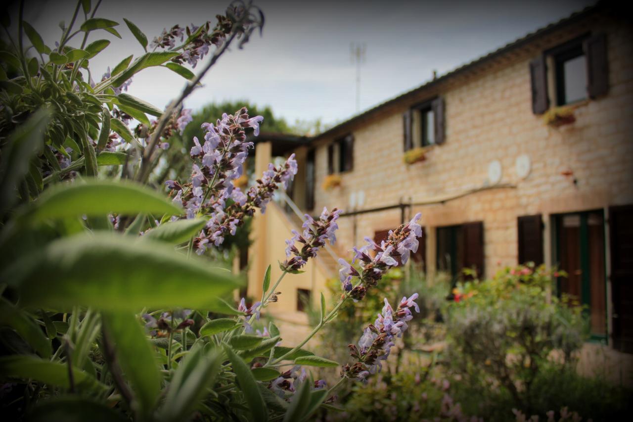 시롤로 Campo Del Mare B&B 외부 사진